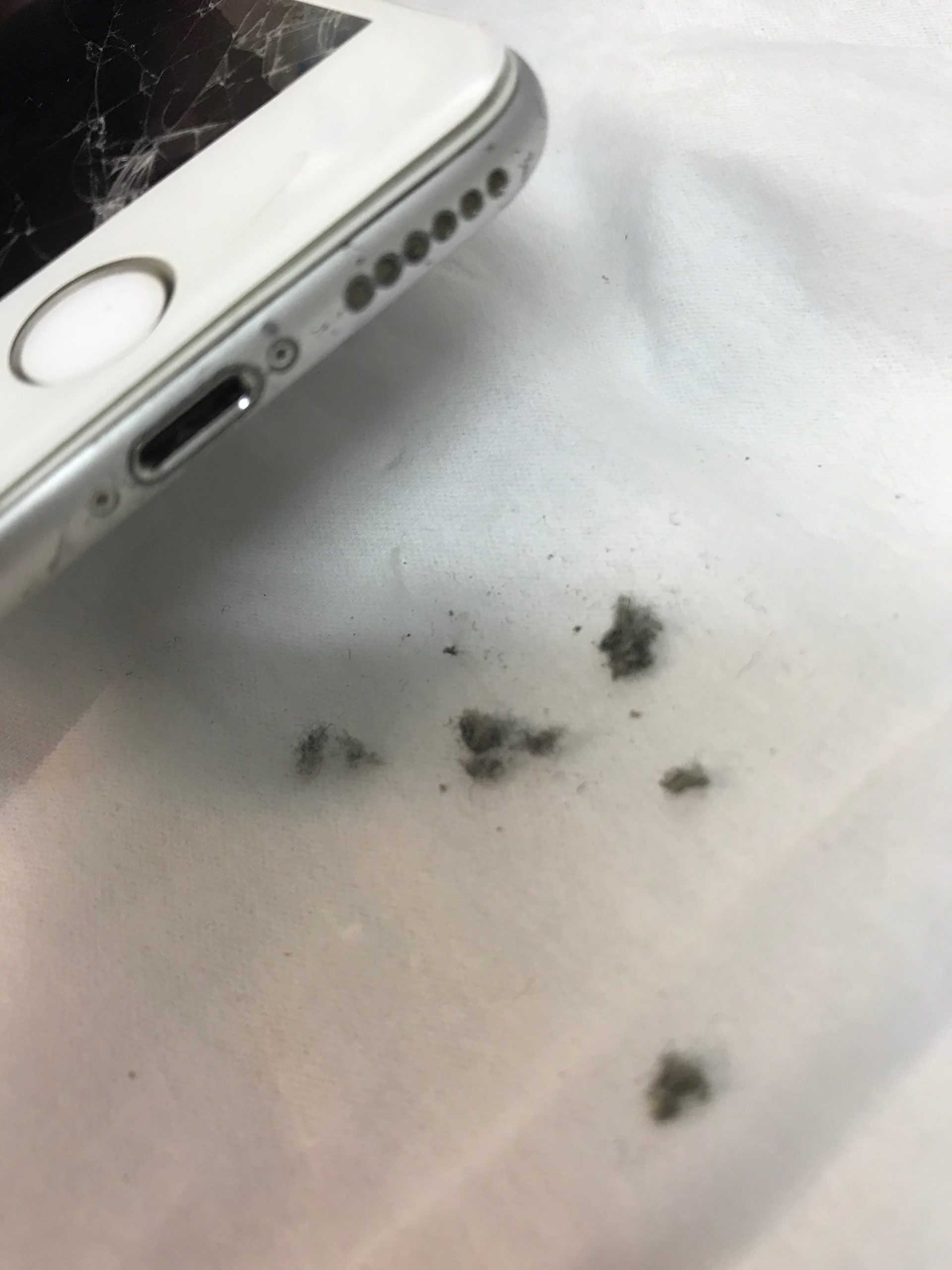 スマホ 充電 口 掃除
