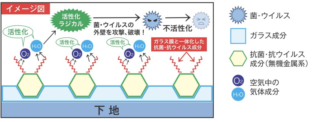 抗菌・抗ウイルスガラスコーティング　メカニズム