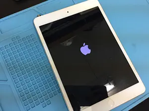 iPadリンゴループ