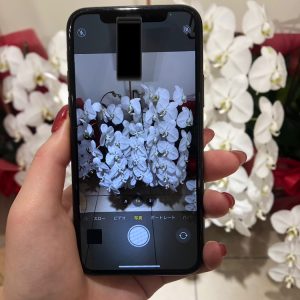 iPhone11Pro望遠カメラレンズ修理後2