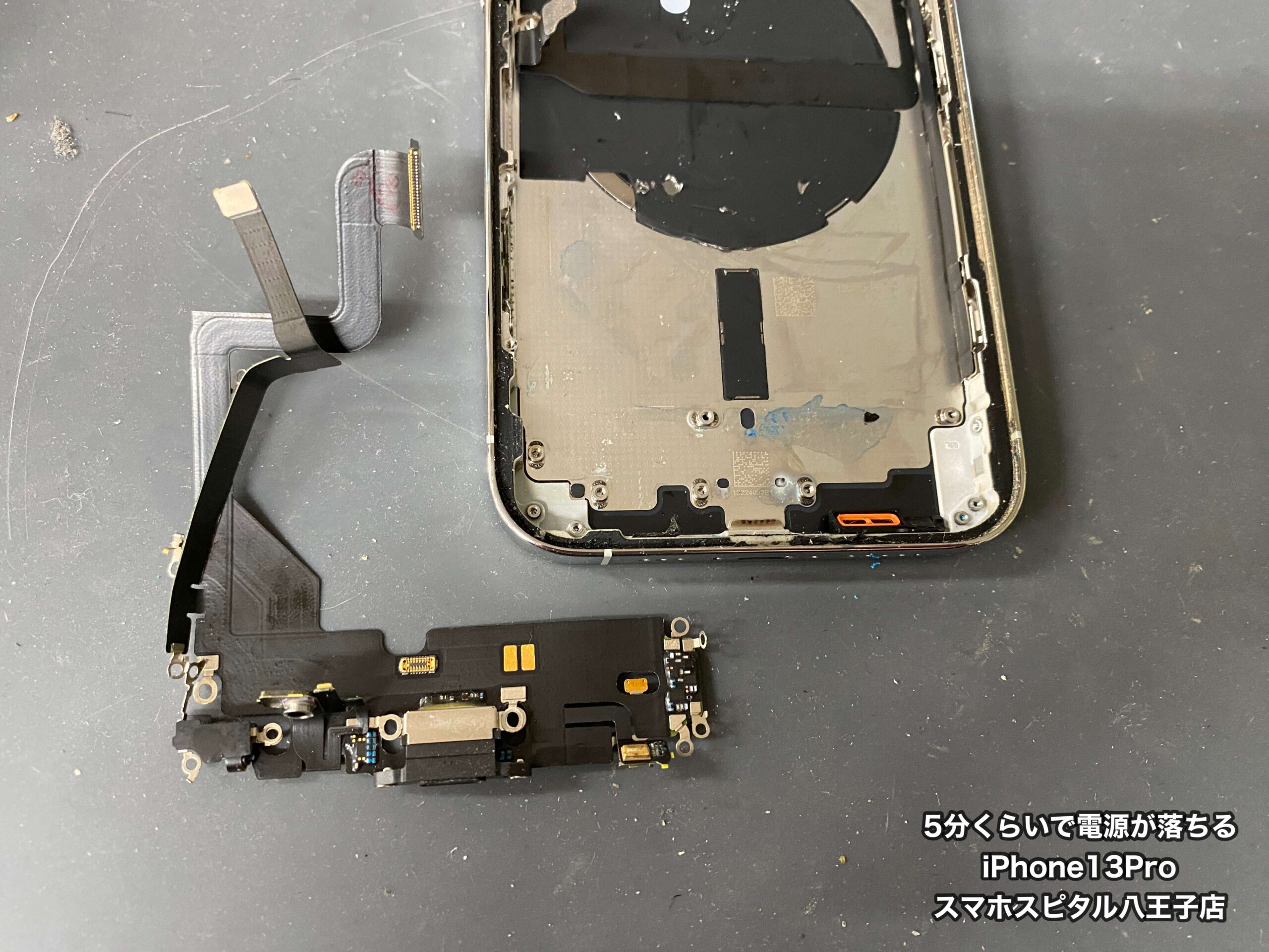 カ*ブ様 iPhone14plus[機器不良有り] 70a05ba813eb62d713fc0551f136b7