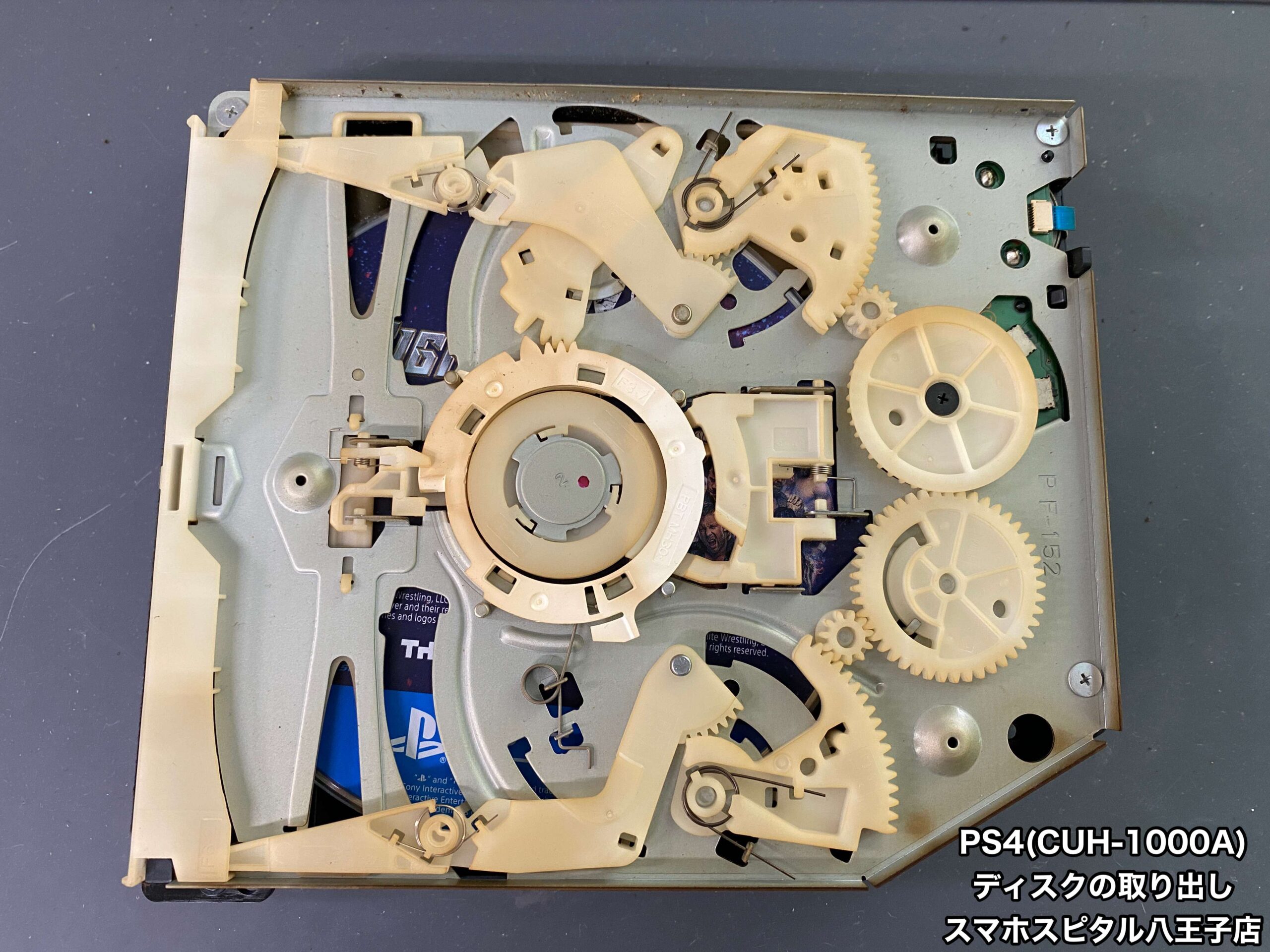 【にぁ4点ドウデュースセット】　※￼他の方は購入なさらないでください‼️ MC-OSAKAZAKURA'25/E | Deviser ｜株式会社ディバイザー｜長野県