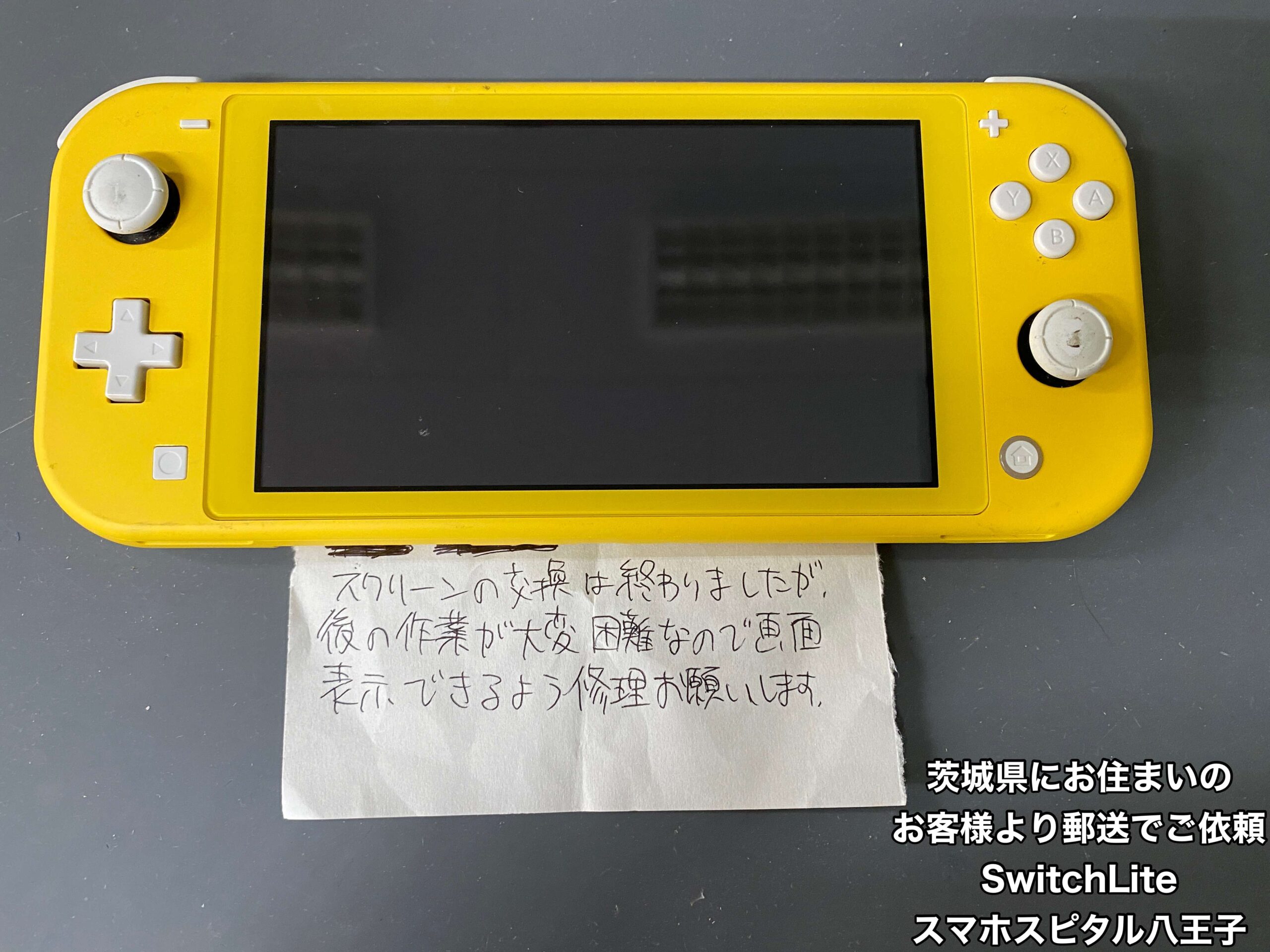 Nintendo Switch Lite プロフ必須 チコ@プロフ必読 様専用です