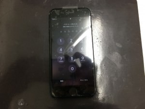 S__45547529