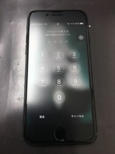 S__49061903