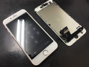 S__50659352