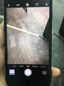 S__51093524