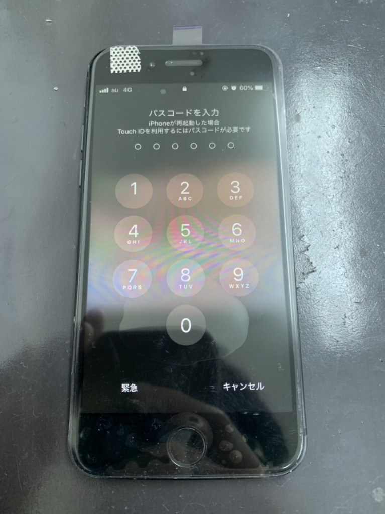 S__54444048