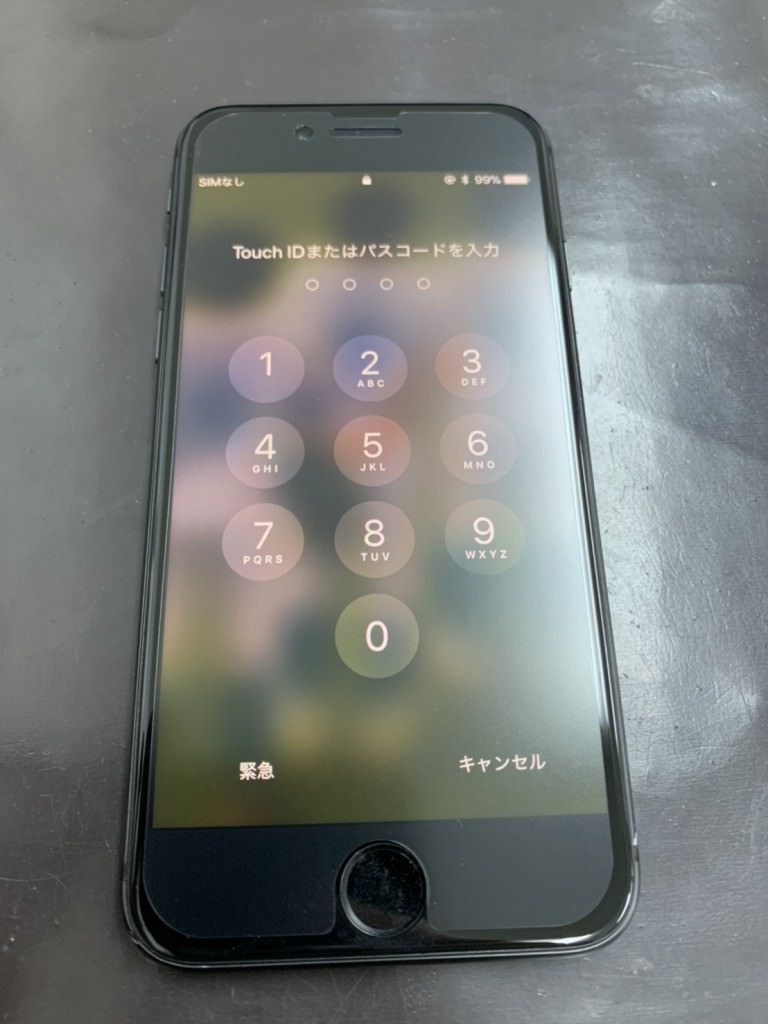 S__55189532