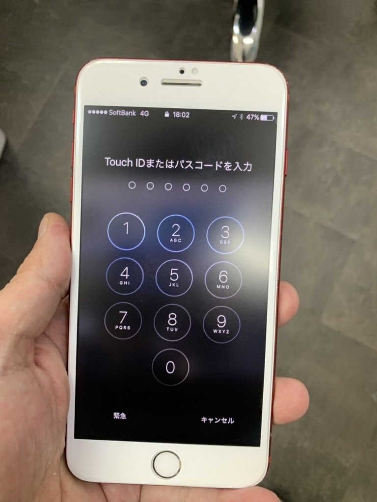 S__55681047