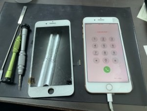 S__57417756
