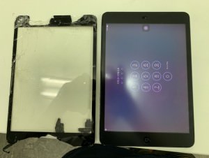 S__57647145