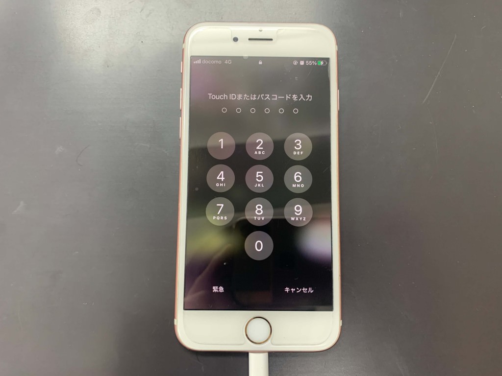 iPhone6s DockConnector (3)