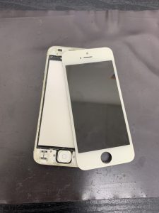 s__249995266