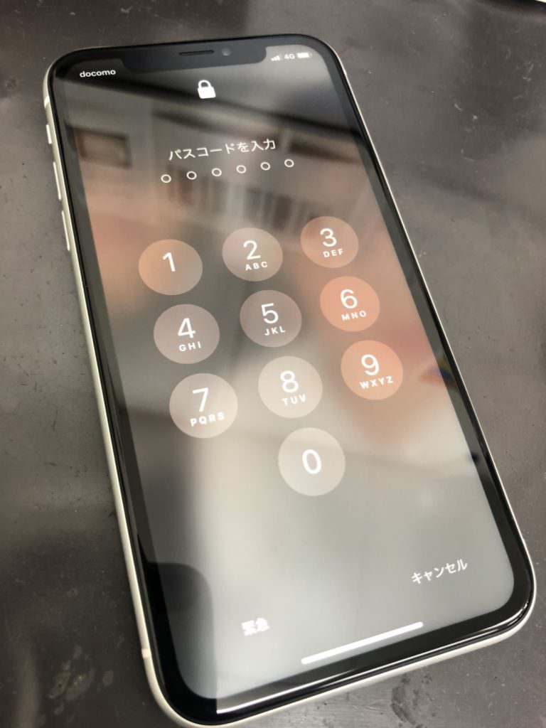 s__40526068