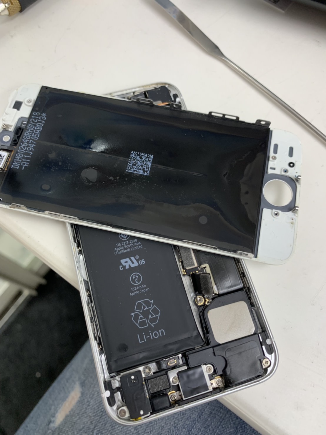 iphonese suibotsu1