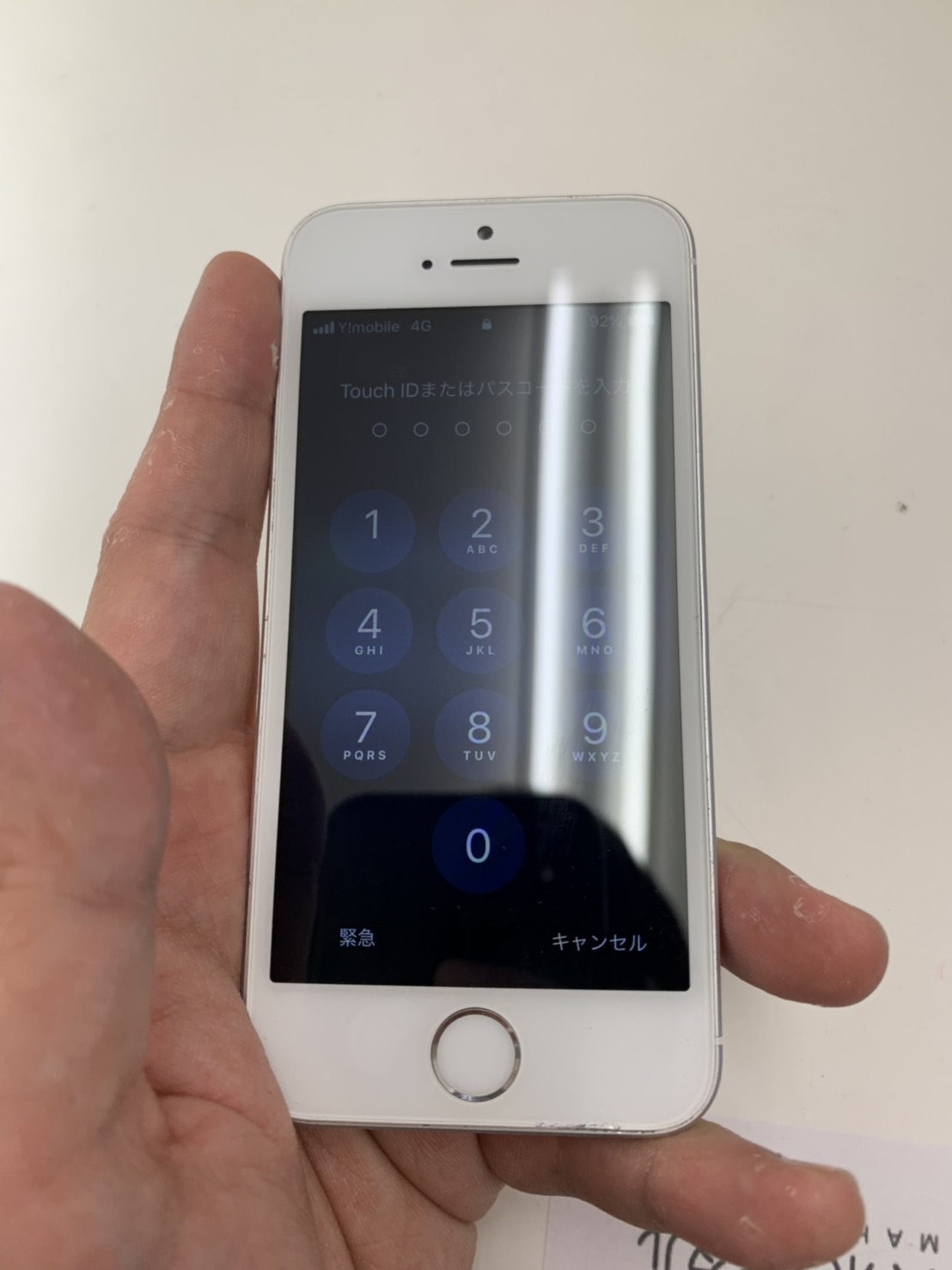 iphonesesuibotsu2