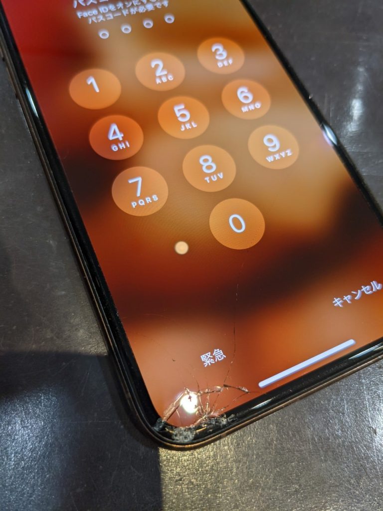 iPhoneXs