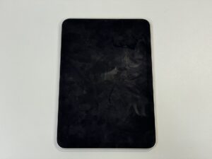 iPad mini (第6世代) 水没起動不良