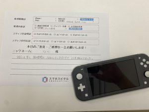 switch Liteスティック交換