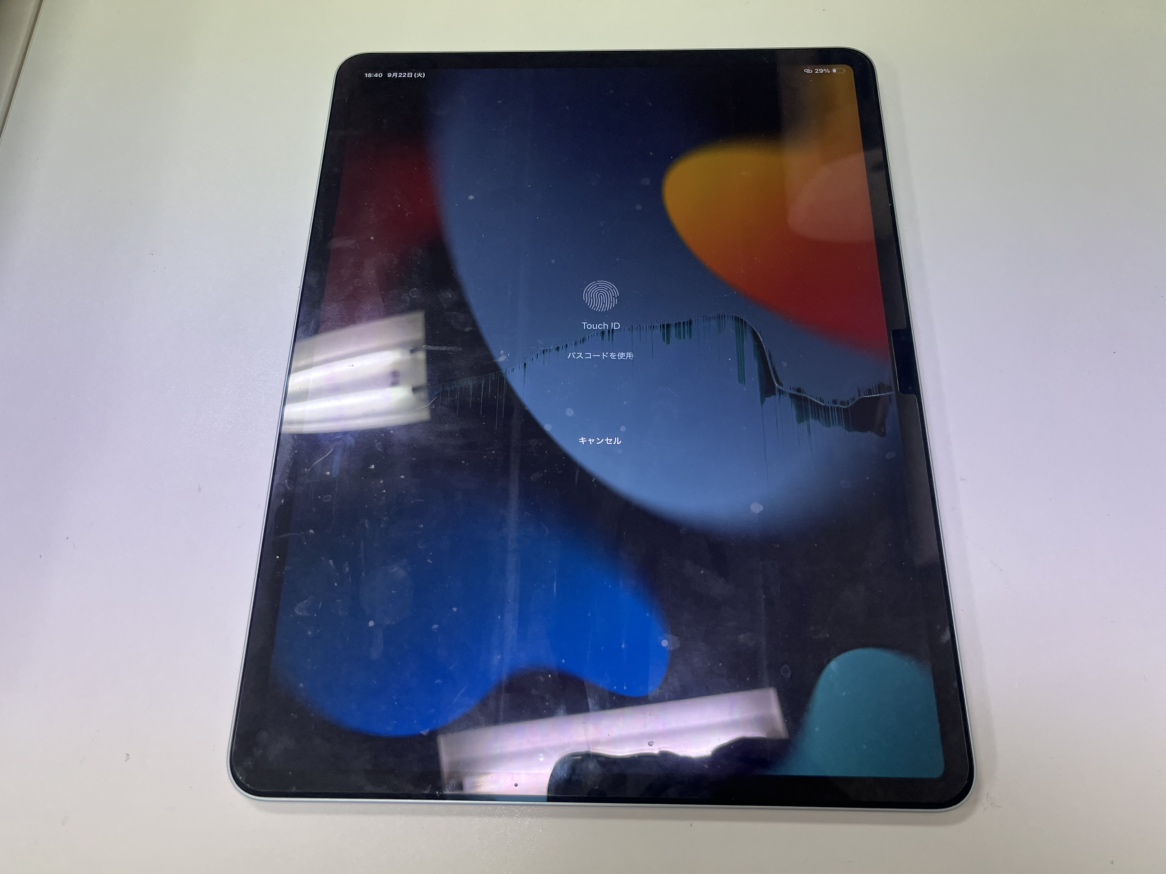 iPad Air M3 13インチ】液晶表示不良即日画面交換復旧！