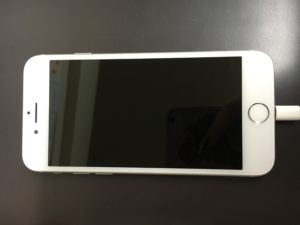 img_6949-2-%e3%82%b3%e3%83%94%e3%83%bc