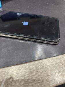 iPhoneX