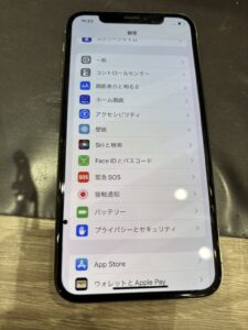 iPhoneX