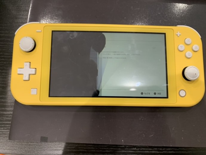 Switch Lite 落とした