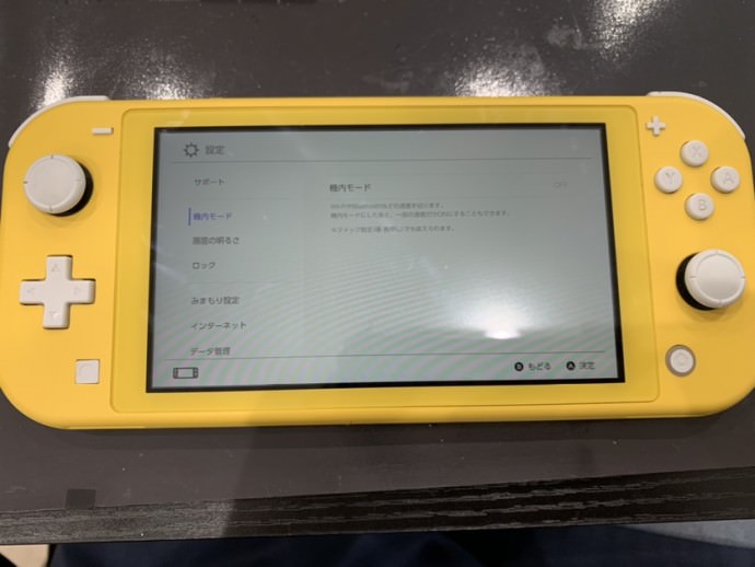 Switch Lite 落とした