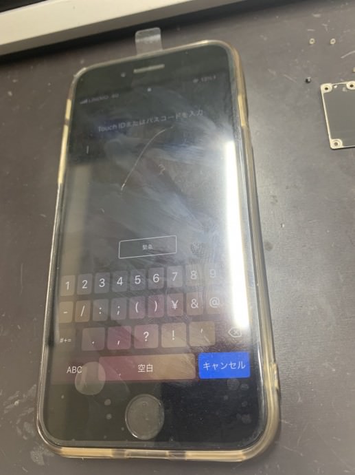 S__6144005