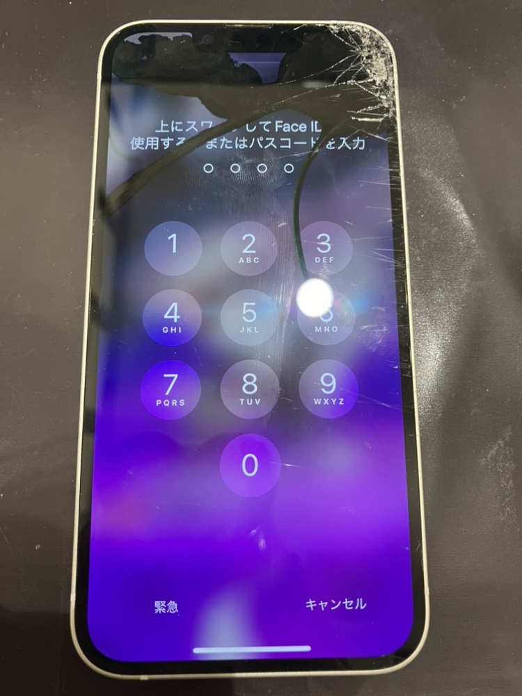 iPhone14】画面上部が液晶漏れで真っ黒に…30分でキレイな画面に