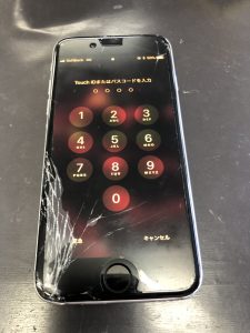 %e5%86%99%e7%9c%9f-2018-03-01-15-33-52