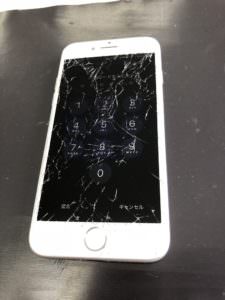 %e5%86%99%e7%9c%9f-2018-07-04-10-34-55