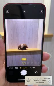 iPhone13miniポートレート