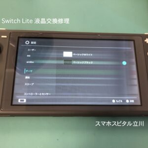 Switchlite液晶不良