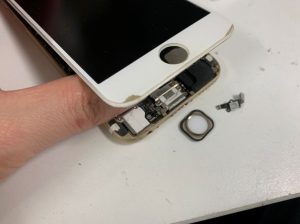 分解してホームボタン修理途中のiPhone6s