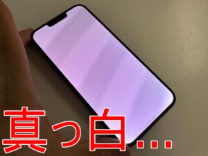 画面が真っ白になって操作が出来ないiPhone13 Pro Max