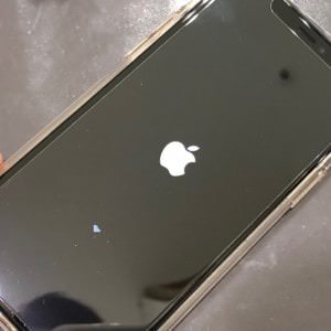 iPhone11Proリンゴフリーズ②