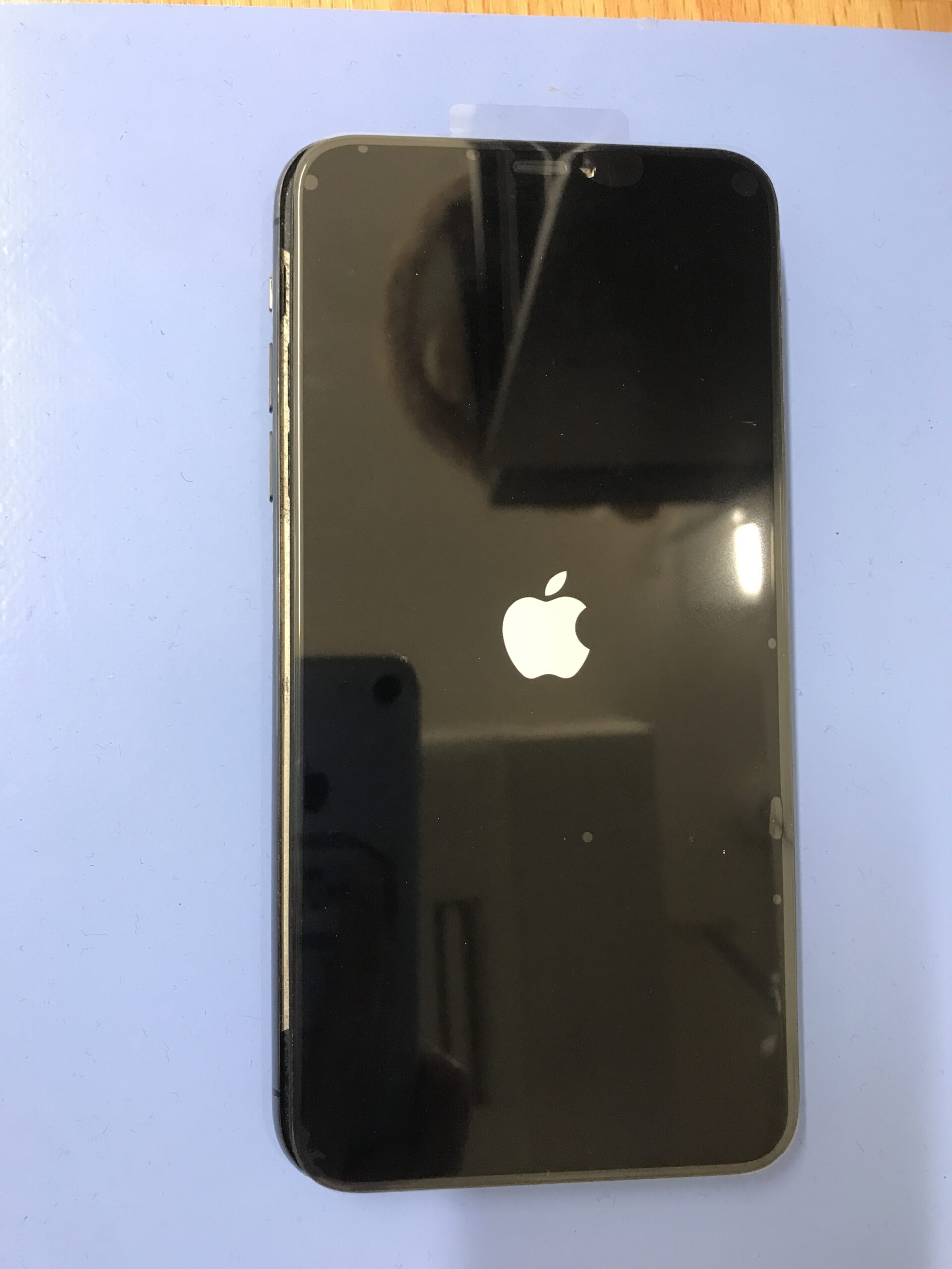 iPhone11ProMax 仮付けで表示確認している様子