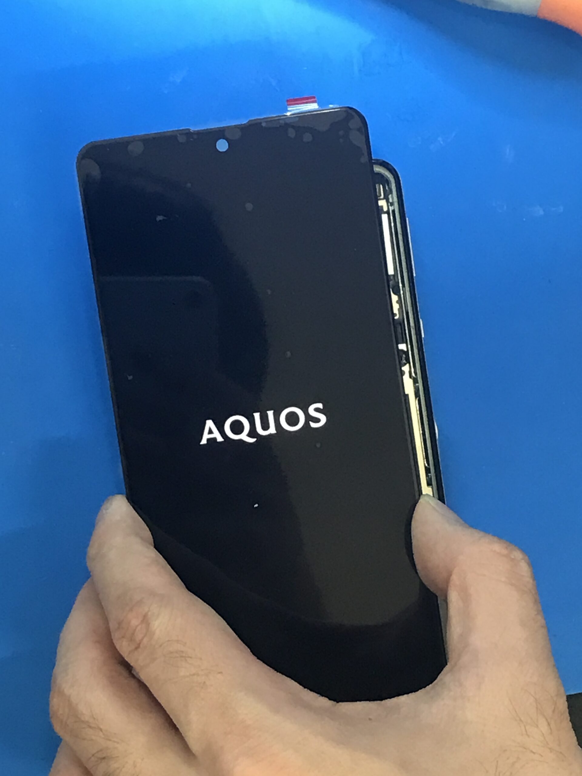 AQUOS sense5Gの画面交換修理を行っている様子