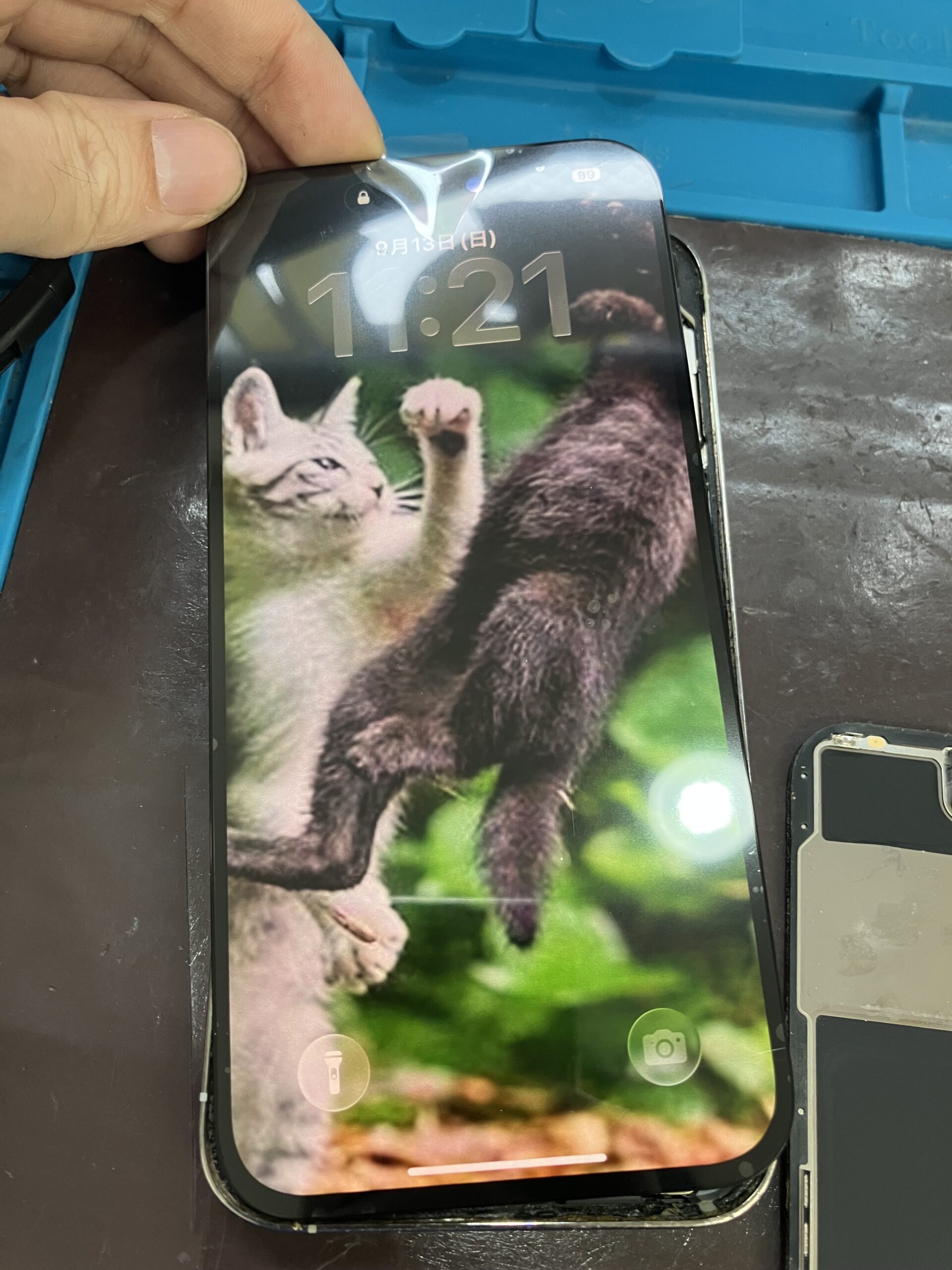 iPhone14 Pro Maxに新しい画面を仮付けして正常表示を確認している状態