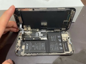 iPhoneX