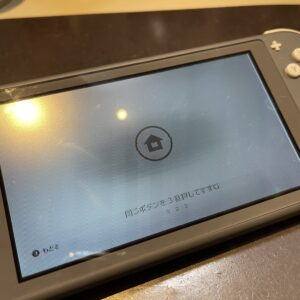 Switch lite