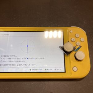 Switch lite