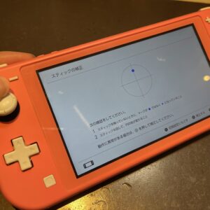 Switch Lite