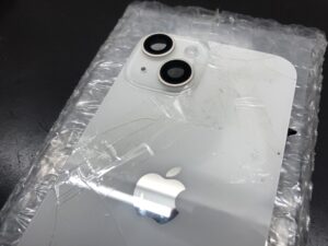 枚方、背面割れ