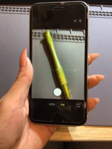 iPhoneSE2カメラ交換