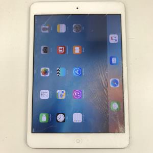 ipad07221