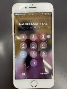 s__80019458